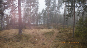 Tidigt på lördagmorgon